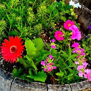 Meet your Posher, Cecilia